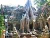 Ta Prohm